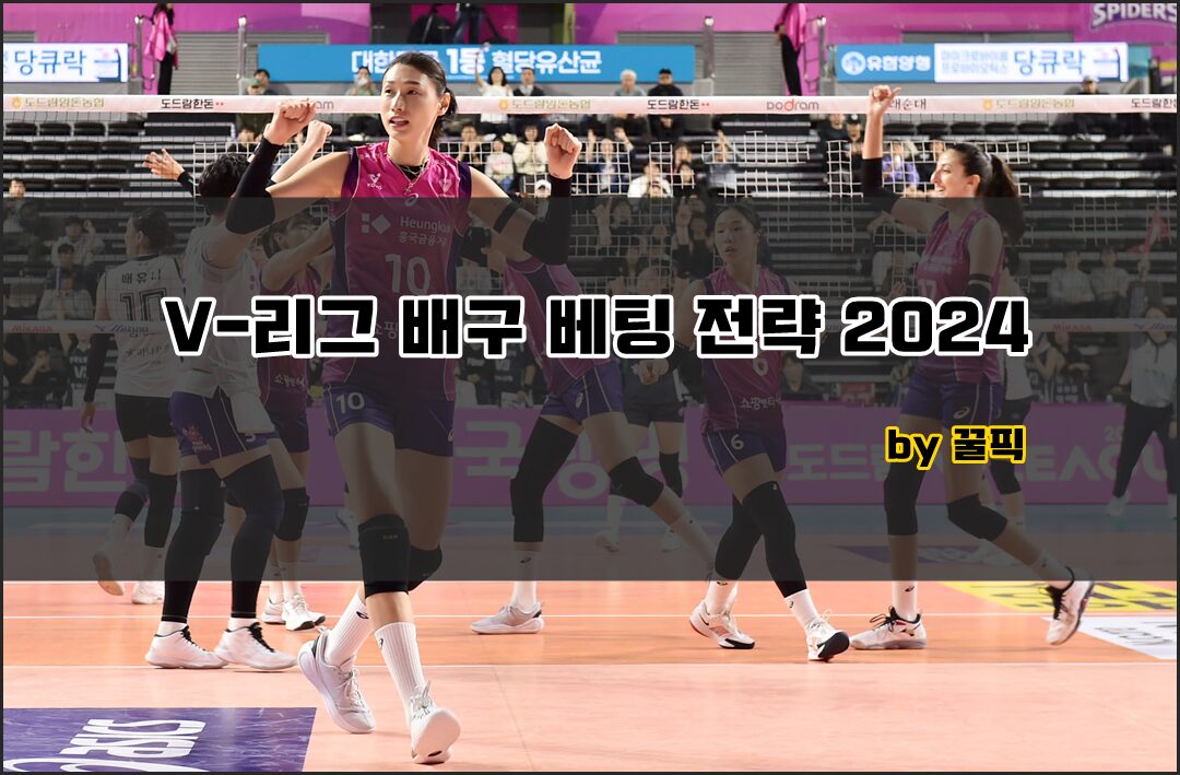 V-\ub9ac\uadf8 \ubc30\uad6c \ubca0\ud305 \uc804\ub7b5 - 2024 \ubd84\uc11d \ub178\ud558\uc6b0