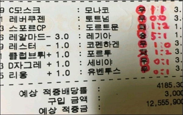 한폴낙 예시 사진