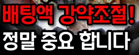 배팅 금액 조절