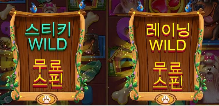 스티키 WILD, 레이닝 WILD
