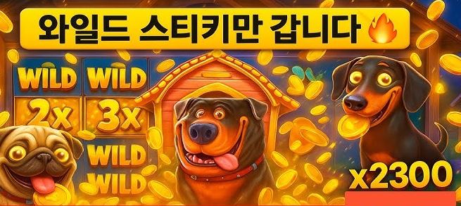도그하우스 메가웨이즈 와일드