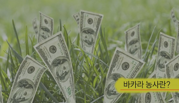 바카라 농사 뜻