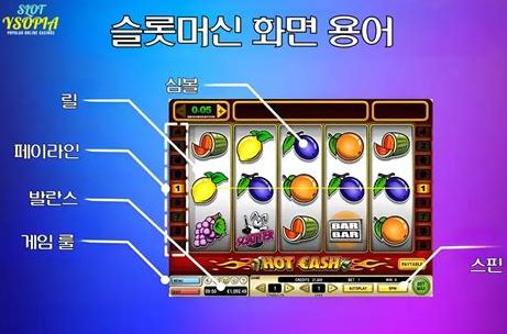 강원랜드 슬롯 기본 구성