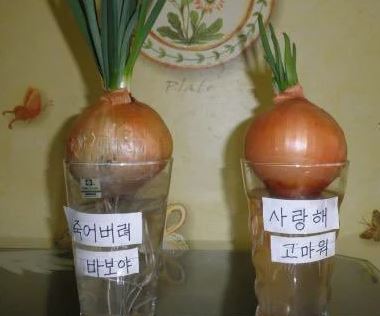 실험 테스트 전략