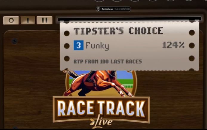 에볼루션 레이스 트랙 인터페이스