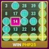 에볼루션 메가 볼 빙고