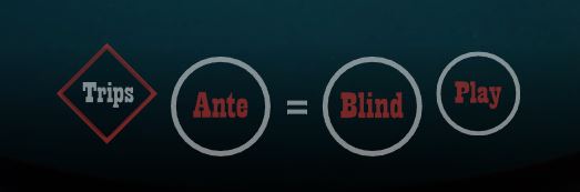 얼티밋 텍사스 홀덤 베팅 옵션