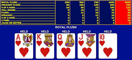 1인칭 비디오 포커