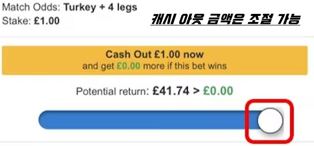 캐시 아웃 손해