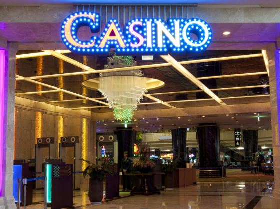 강원랜드 바카라 후기