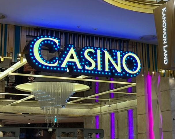 강원랜드 바카라