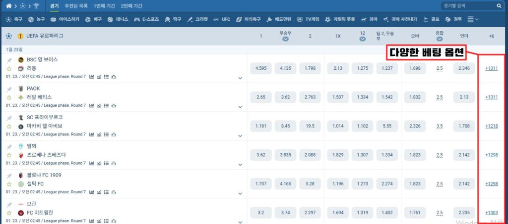 다양한 베팅 옵션